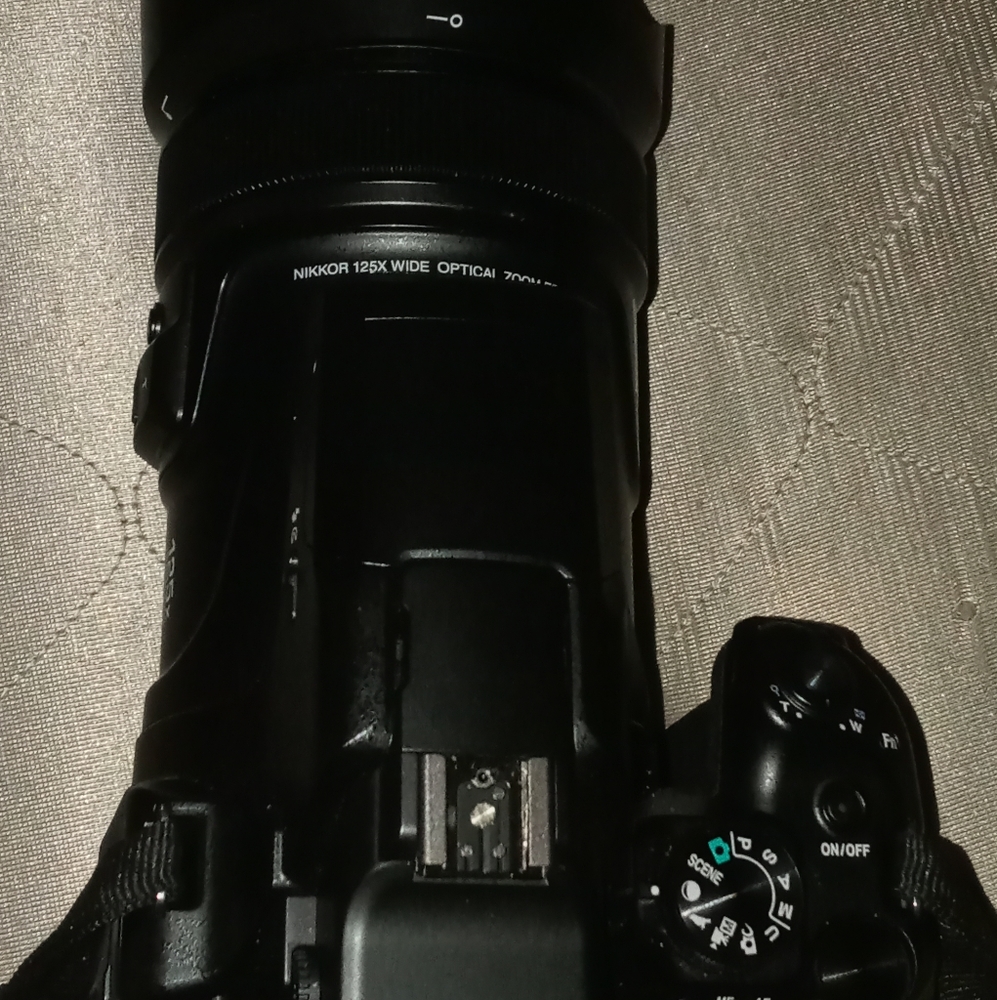 Nikon Coolpix P1000 - Picture 5 of 6